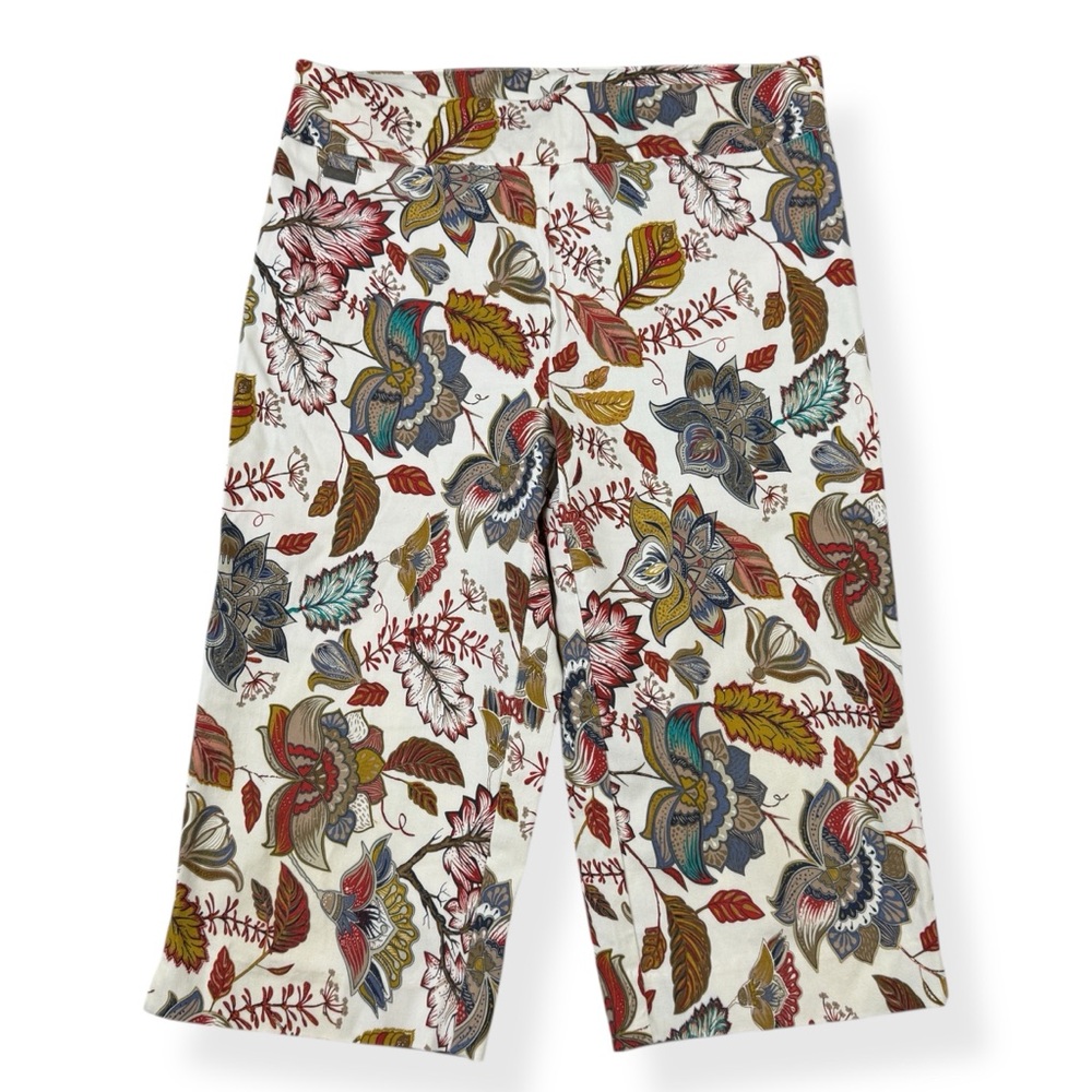 Kate Park Pull On Capri Pants Womens PL Petite Large Tummy Control Stretch